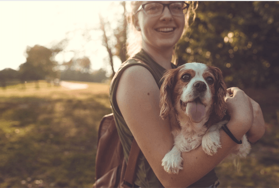 10 Top Tips for Moving Home With Pets